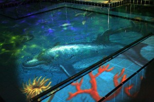 Combing projection lighting and sound, create engaging scenarios in your sensory pool