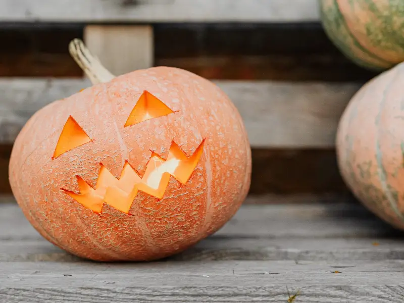 Halloween Decorated Pumpkin on Bench