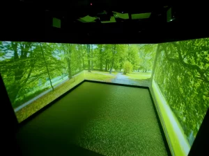 Forest Floor and Wall Projection in Immersive Room