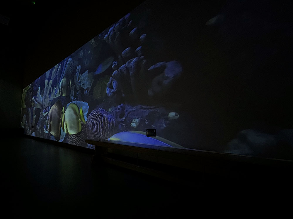 Immersive Sensory Wall Installation At Special Needs School