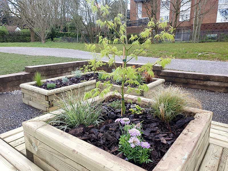 Raised Wooden Planters In Sensory Garden For Planting
