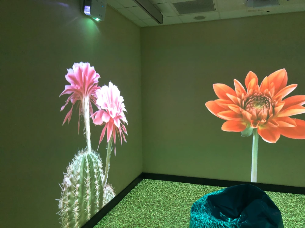 SEND immersive room designed to support sensory regulation, engagement and learning