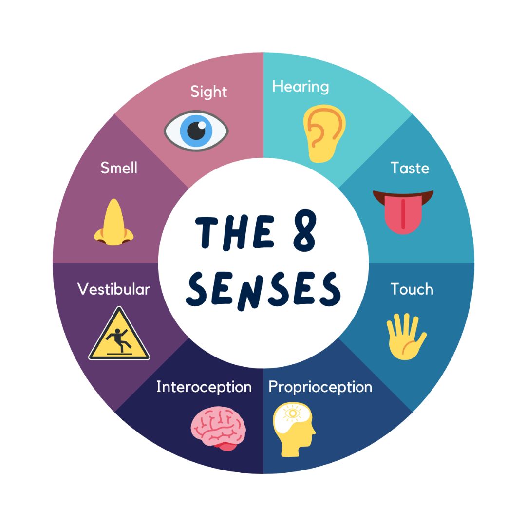 Sensory Awareness Month: Designing Spaces Around People’s Sensory Needs