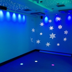 Interactive Sensory Room