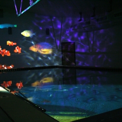 Interactive Sensory Pools