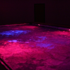 Sensory Pool Integration