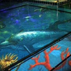Sensory Pool Themes