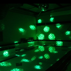 Sensory Pool Projections