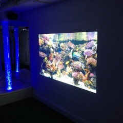 Media Based Sensory Room